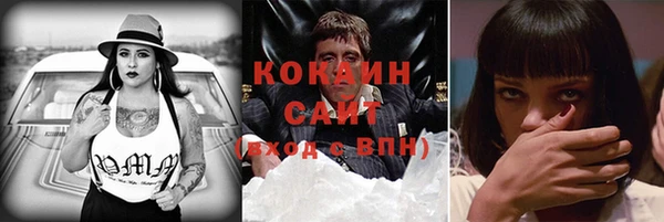 мяу мяу мука Бородино