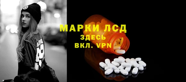 стаф Вяземский