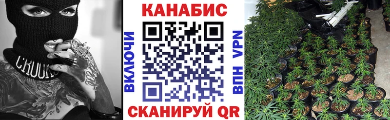 Конопля марихуана Звенигород